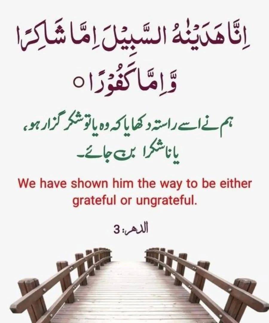 Adanhashmi13's tweet photo. https://t.co/cTjLU1vtY2