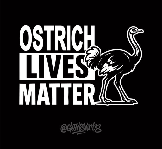 lisahsmithlhs's tweet photo. Ostrich Lives Matter  #savetheostriches  🇨🇦🙏🏼🙏🏼🙏🏼 https://t.co/xgb8SM3TA5