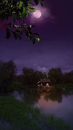 BlueLSM's tweet image. Be proud of yourself. Even if it seems small. You’ve survived things others never even knew about.