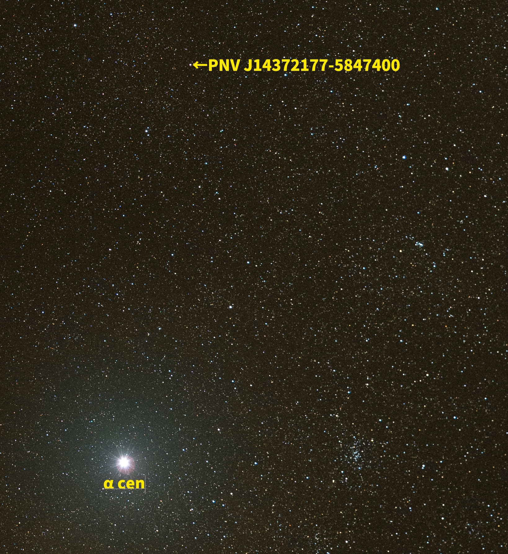 額装品　リプロダクション　17世紀 セラリウス　天球図　12星座　大型作品 額装品 リプロダクション 17世紀 セラリウス 天球図 12星座 大型