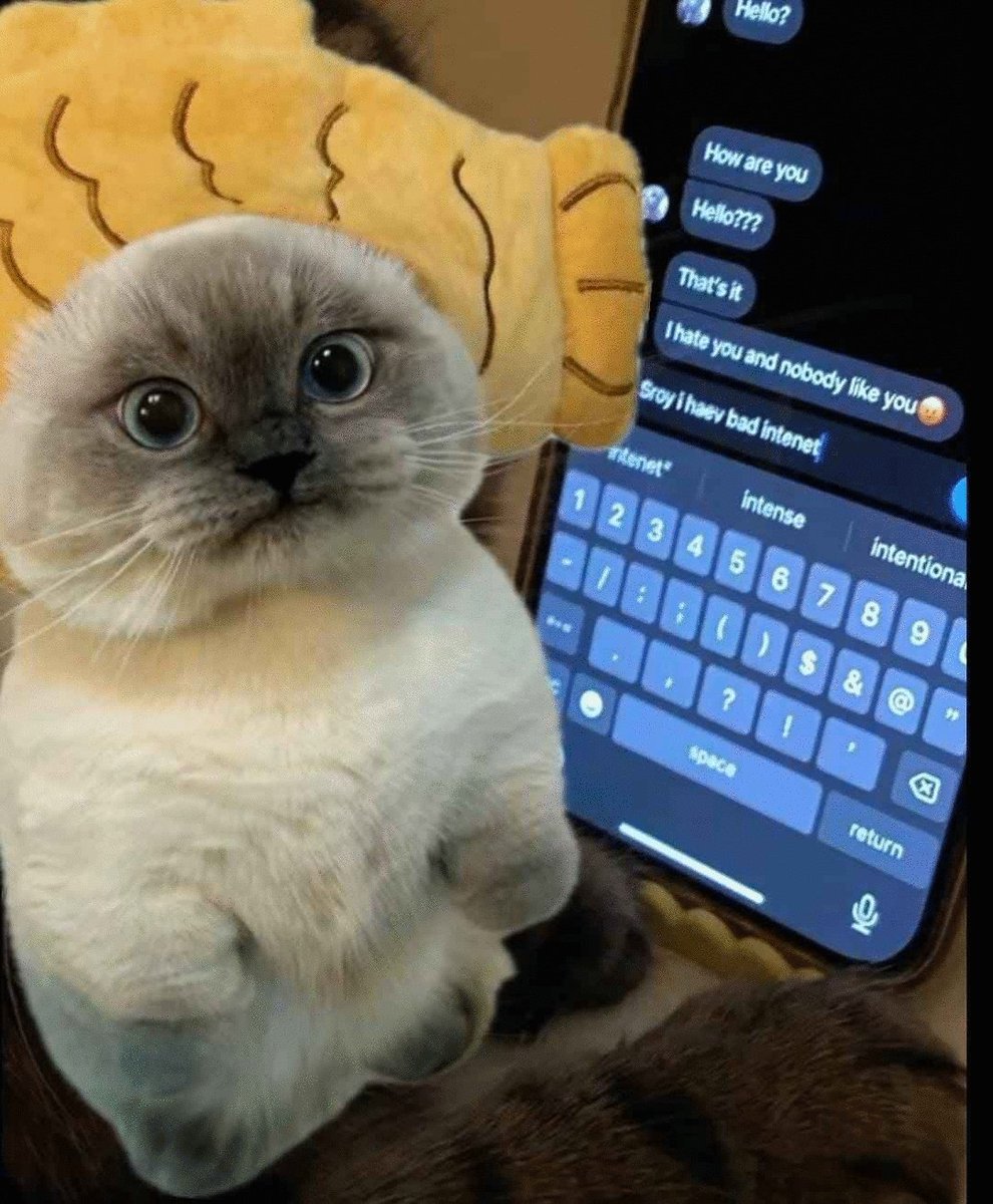 hmu if u wanna join the oomfie twitter gc because why tf not heh....