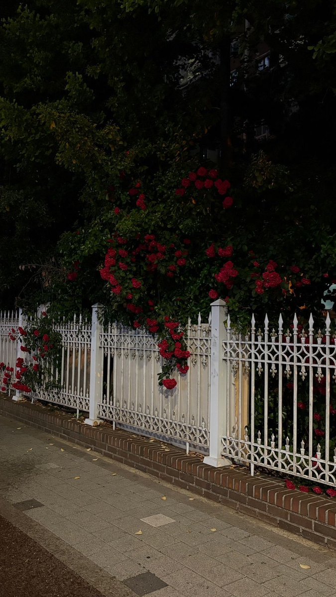 حادیہ tweet media