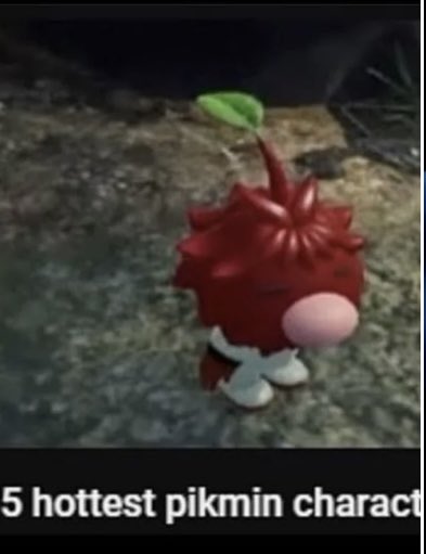 Caption hits different