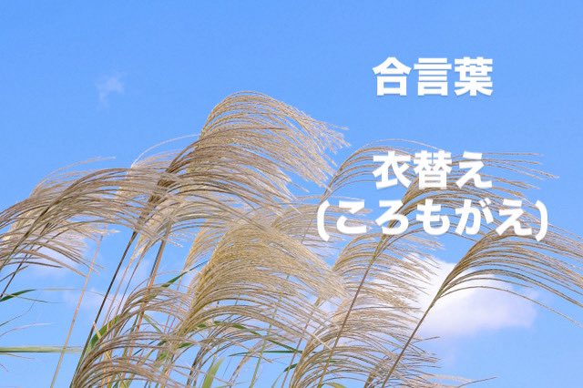 朝晩ちょっと寒くなってきたので、
9/25(月)〜9/28(日)までの合言葉は
衣替え(ころもがえ)です！！
路山本店にてご注文の際に合言葉をスタッフにお伝えいただきますと、餃子3個or小ライスサービスします！