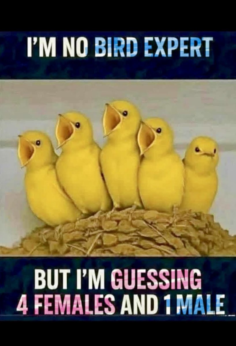 VernonSpatial's tweet image. 