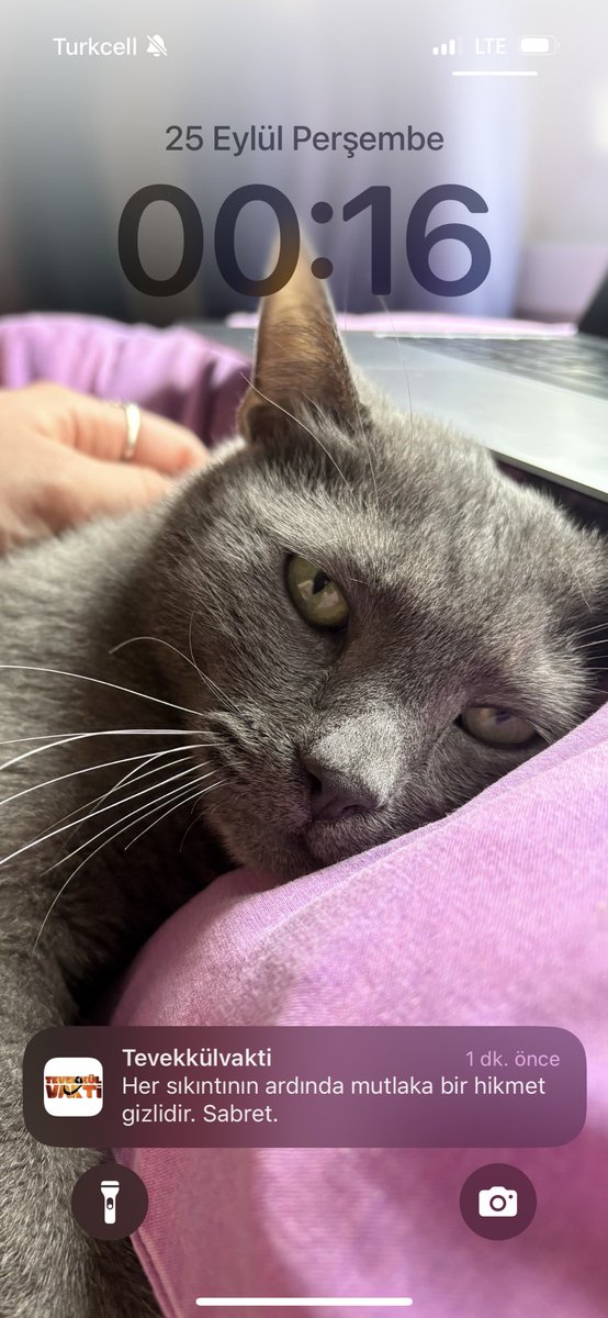 Yine bir mesaj diye düşünüyorum.