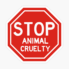 <a href="/Joseph3Sengendo/">sengendo joseph3</a> 😭💔🐴