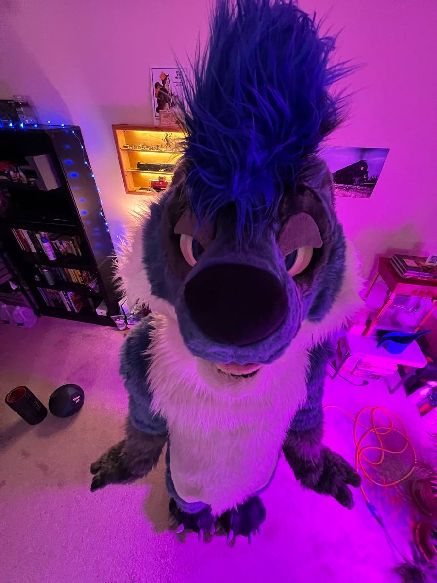 🐶✨️Star✨️🏳️🌈 (@staradder8) on Twitter photo Hey! Down here! Wanna see my trains?
#furryfan Hey! Down here! Wanna see my trains?
#furryfan
