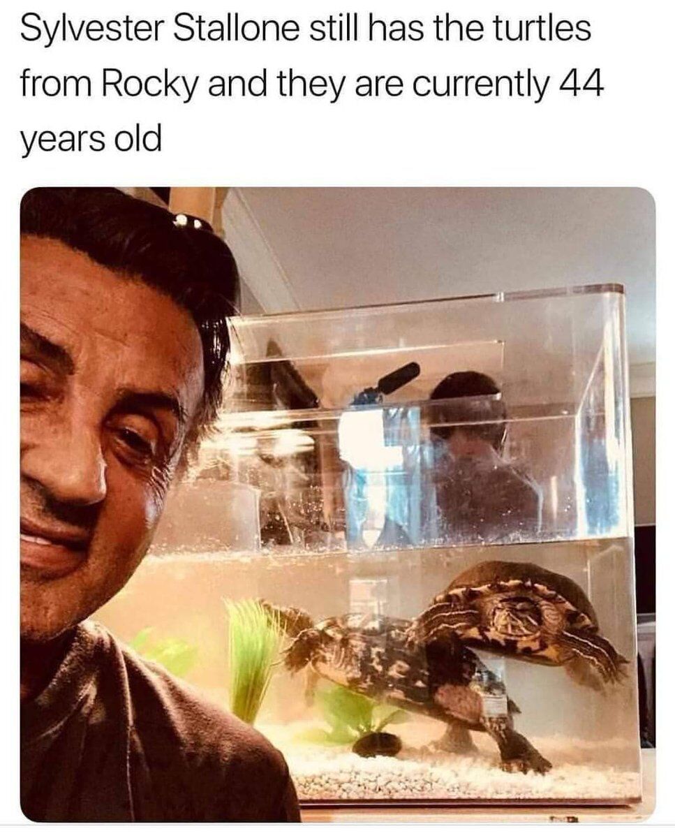 WholesomeMeme's tweet photo. https://t.co/FCAfAlxQit