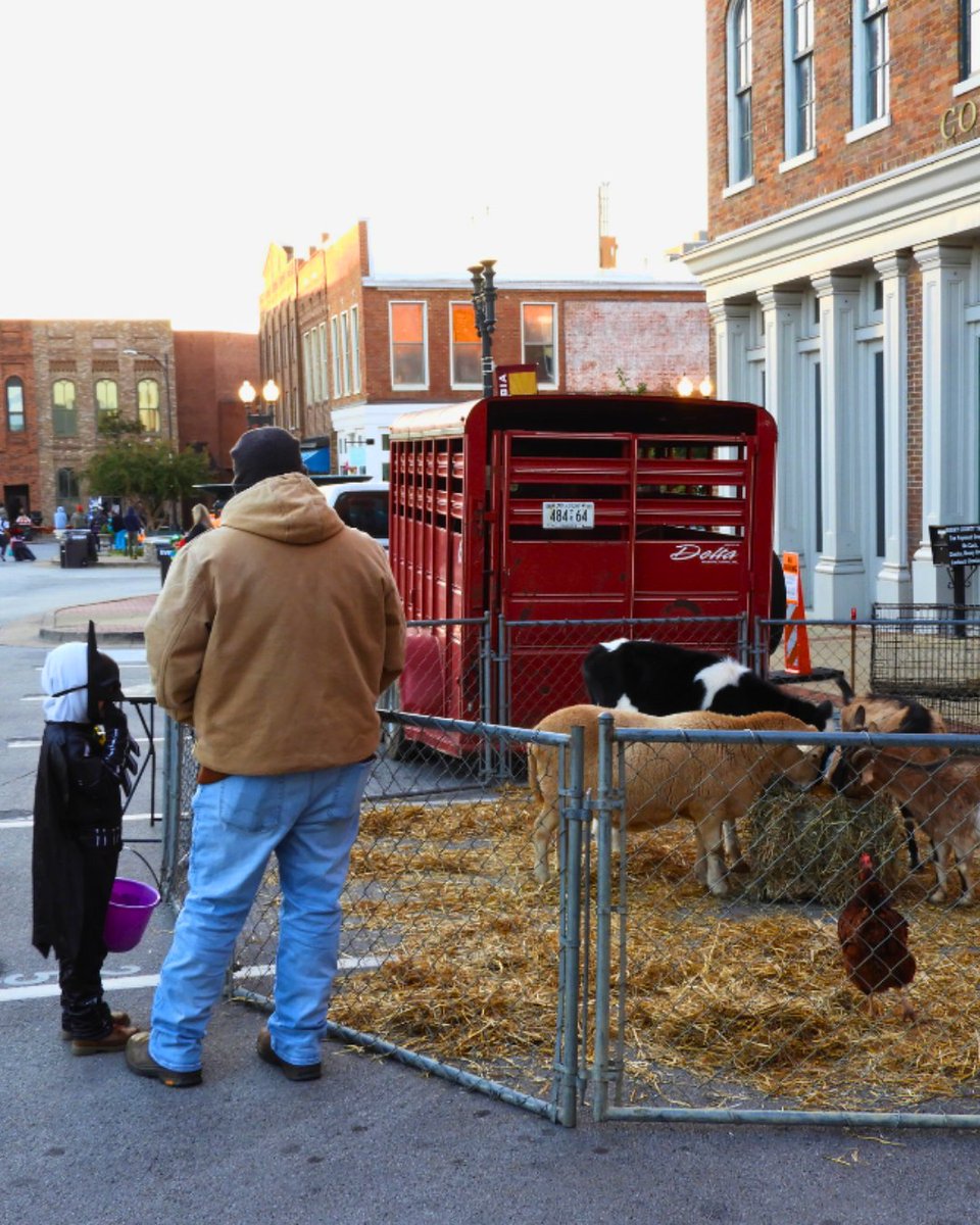 experiencemaury's tweet image. 🎃👻 Get ready for a spooktacular time at Haunting in the District on Oct 31st! Join us in downtown Columbia from 6 PM-8 PM for free trick-or-treating that's fun for the whole family! Don’t miss out on this hauntingly good time! 🍬🕷️

#HauntingInTheDistrict #ExperienceMaury