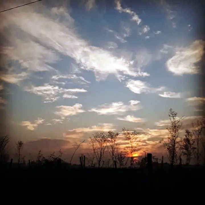 raulo331's tweet image. ❤️🌄