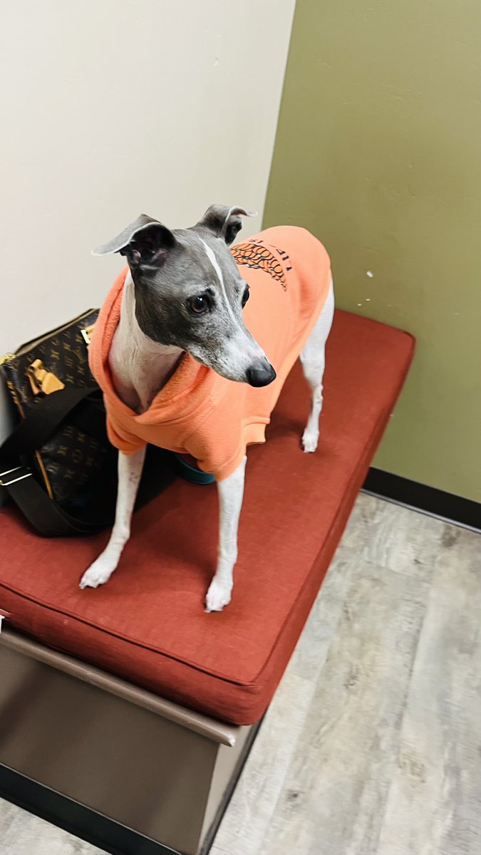 Mom I am really feeling fine now we can leave!