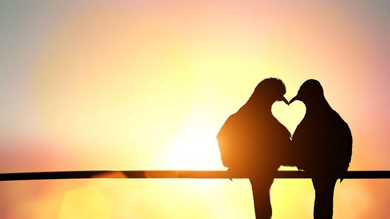 Era só um encontro,
mas o tempo pareceu segurar o fôlego.
Olhos que se reconheceram
como se já soubessem o caminho.
Não houve pressa,
só presença.
Duas almas que, por instantes,
esqueceram o mundo lá fora.