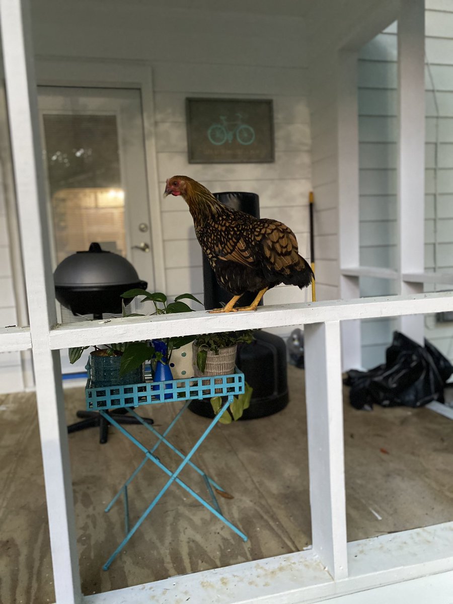 Katy Christensen (@katy98517911661) on Twitter photo 