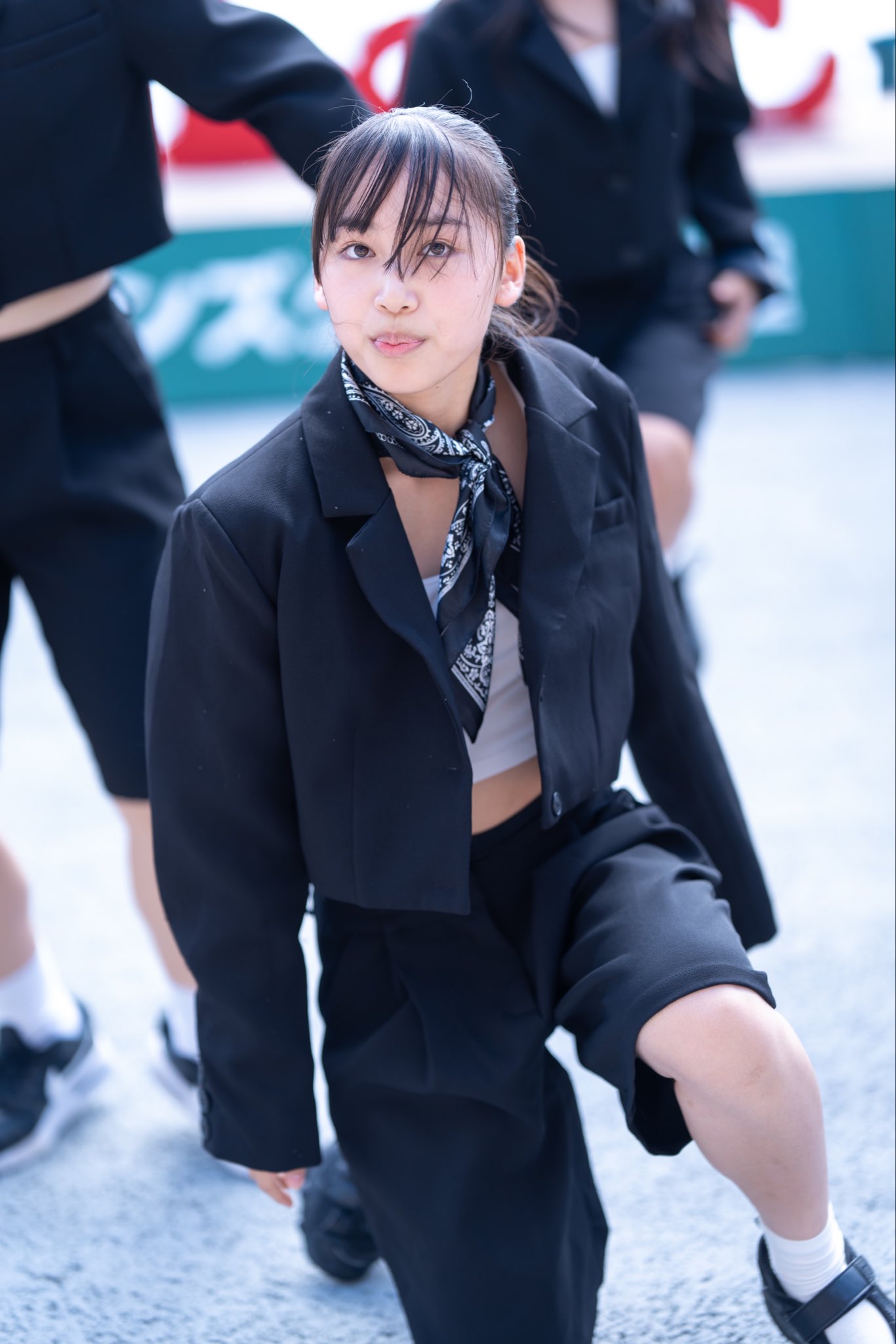 はるうらら 51C7nmxzKXL._UY350_.jpg