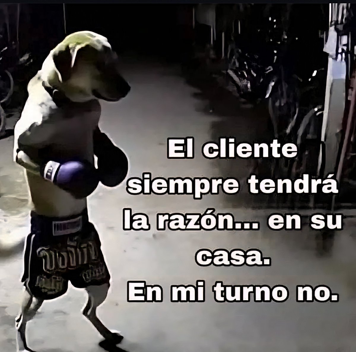 <a href="/culturaliteral1/">Cultura Literal</a>