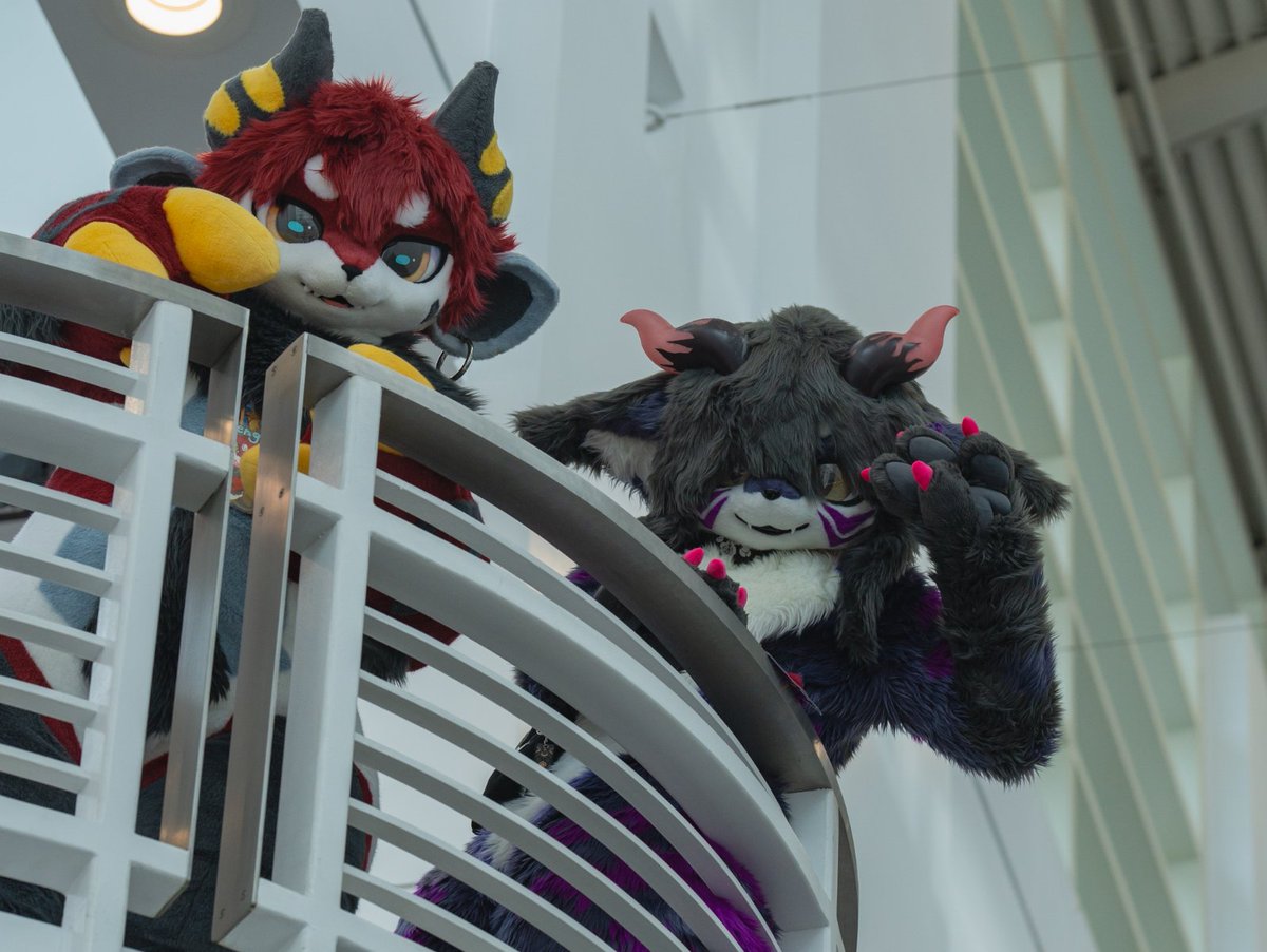 Meowdy! 
#AFC2025 #FursuitEveryday #kemono

📷: <a href="/PajraGaoGao/">☁️💙Pajra/ハイラ💙☁️</a>