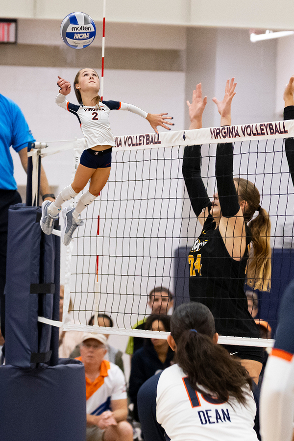 Virginia Volleyball tweet media