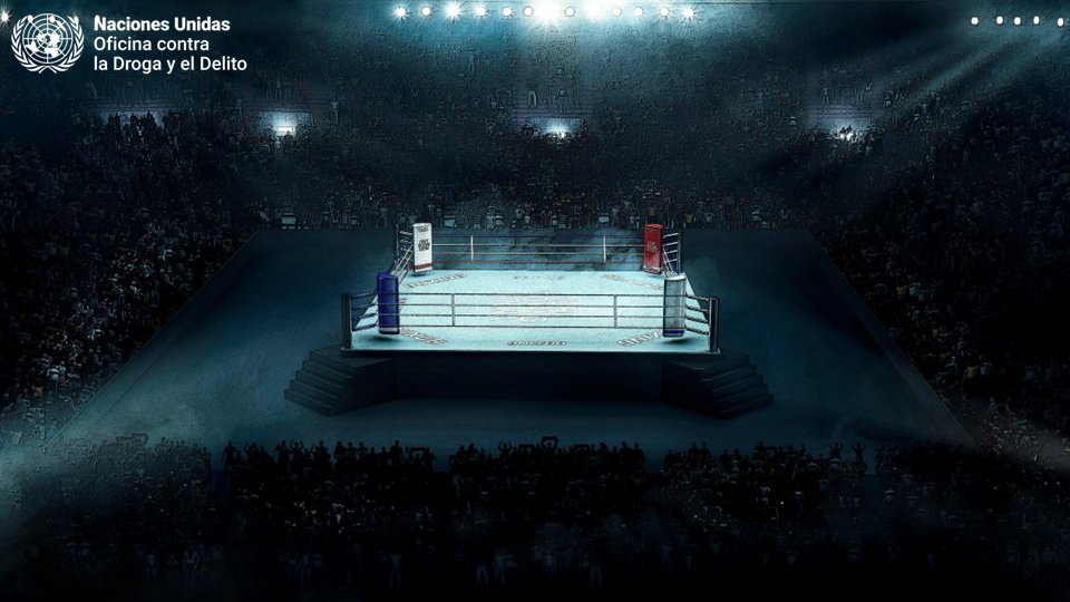 UNODC México tweet media