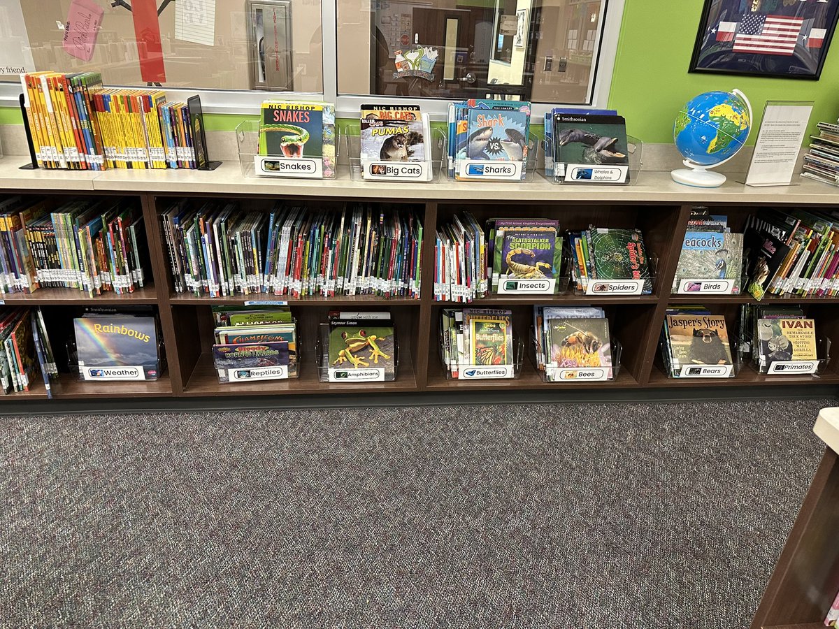 Alekona75's tweet image. Introducing brand new browsing bins in the nonfiction section to help readers independently select the perfect read! 💙📚@TISDWES @TISD_Libraries