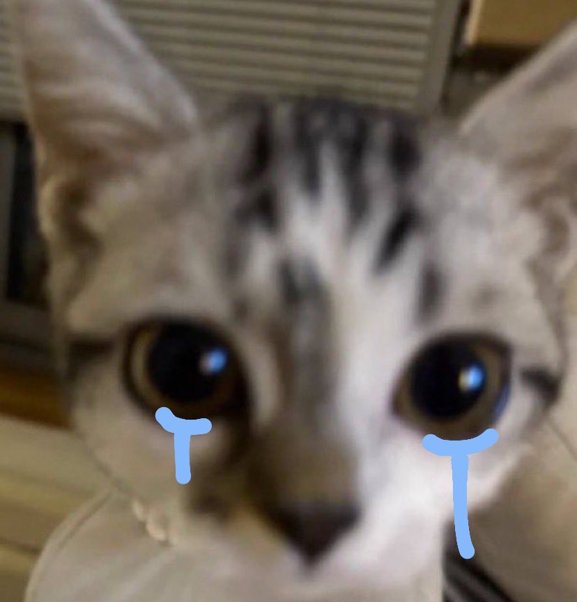 El chico de las 100 formas de hacer papas está llegando al final