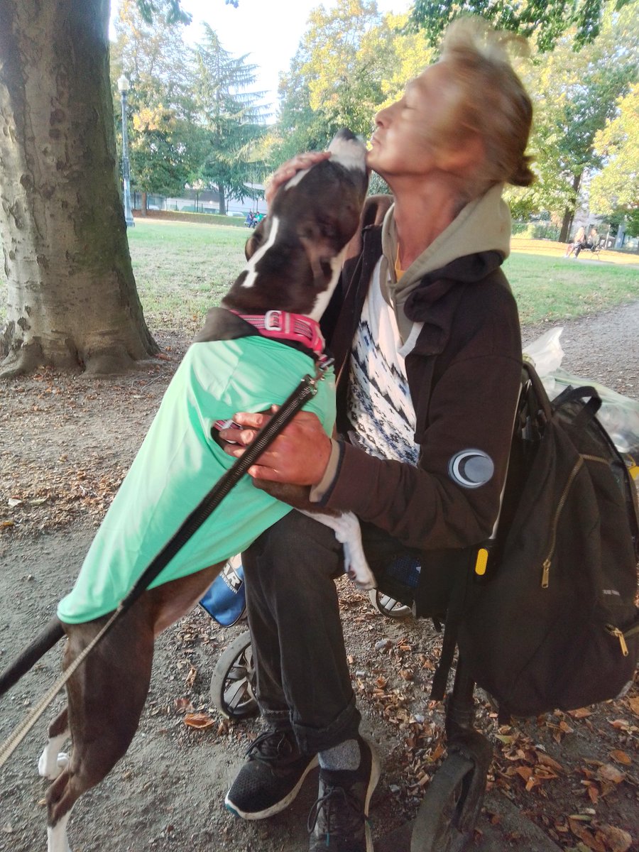 LebrockTony's tweet image. Tue🌌🐕🏞️🐾💙👏🥰👏💙🐾
#nativefriends #nativetwitter 
#allmyrelations #pittielife  #parkvibe #sittingwithlove
#dogsoftwitter #dogsonx #pitipiti #agoodday #dogslove
#MadamRiley