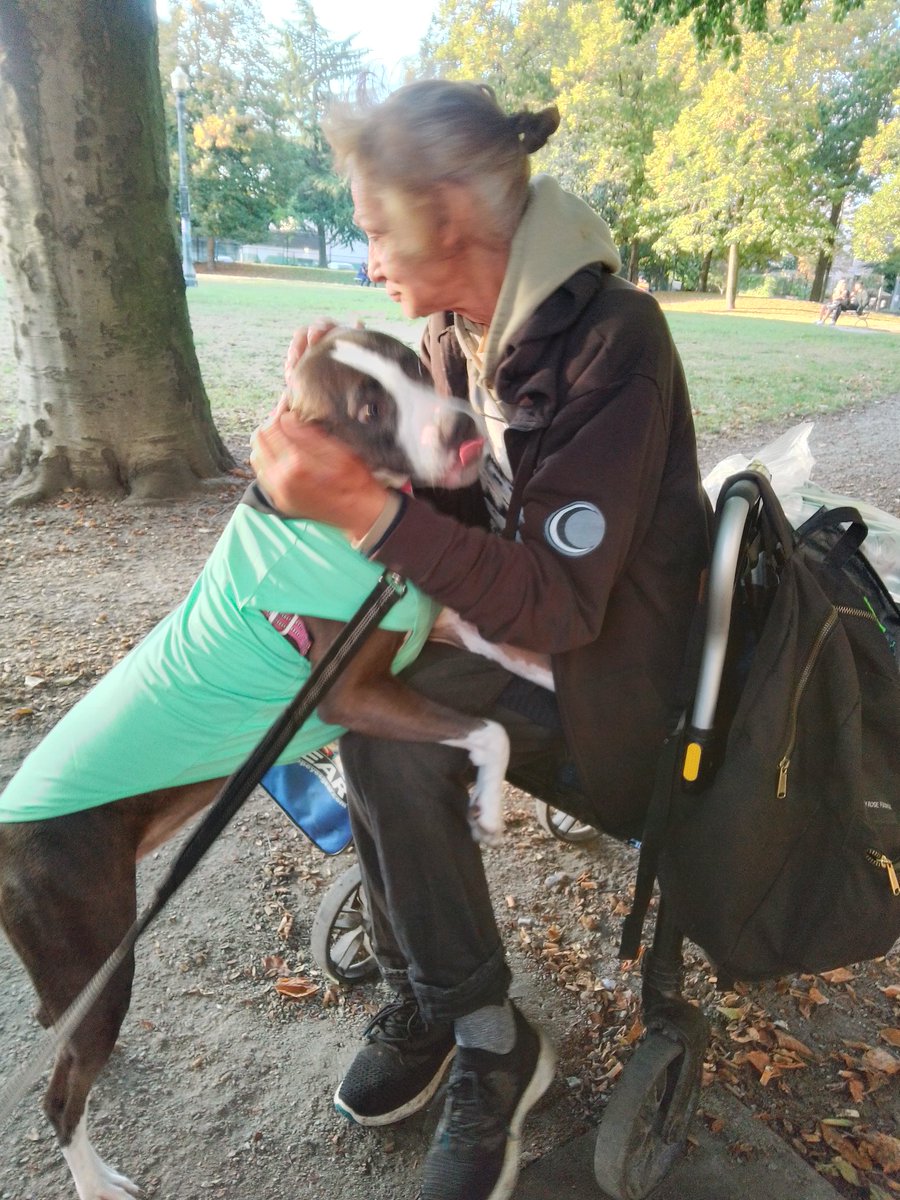 LebrockTony's tweet image. Tue🌌🐕🏞️🐾💙👏🥰👏💙🐾
#nativefriends #nativetwitter 
#allmyrelations #pittielife  #parkvibe #sittingwithlove
#dogsoftwitter #dogsonx #pitipiti #agoodday #dogslove
#MadamRiley