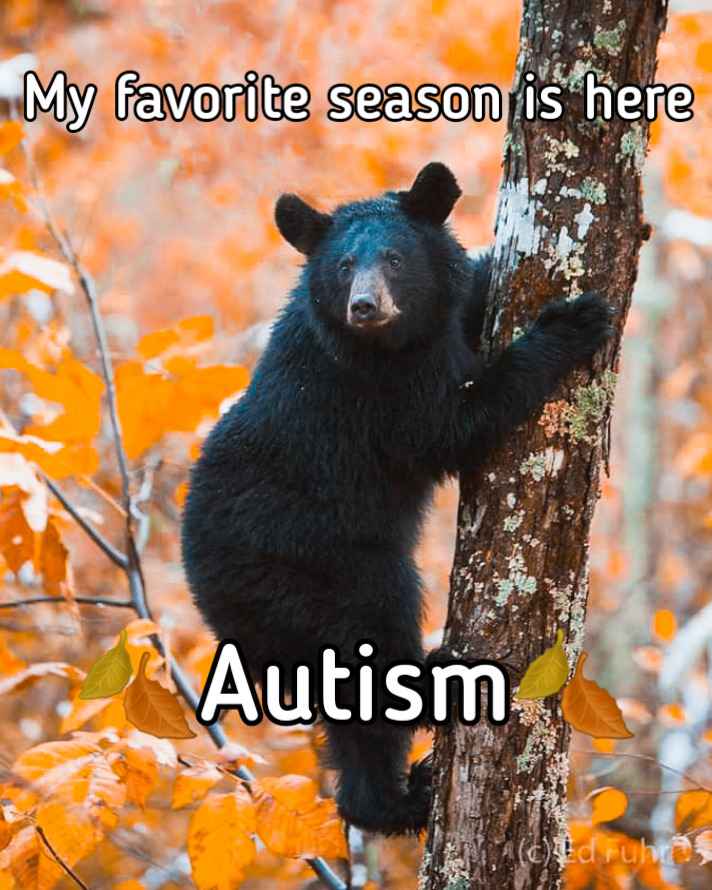🐻 Bear 🌼 (@bearposting) on Twitter photo 