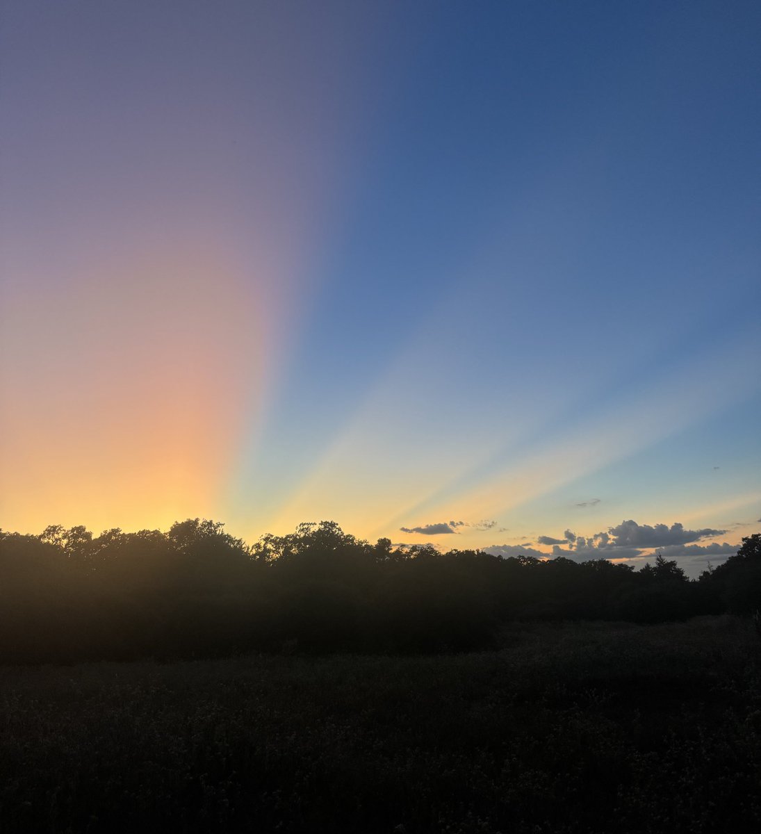 We love when there are sun rays 🌞 &amp; Ramos Pinto Duas Quintas 2019 Douro Valley, Portugal 🇵🇹 wine 🍷• comes with its own white paper; super smooth; comforting - kind of like being under your favorite blanket; peach marmalade on crispy toast; hard to beat a good Touriga! 😋