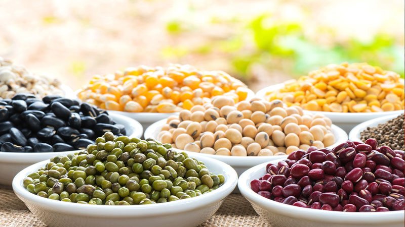 Beans and legumes are not a health food 🫘🫛

-Amino acids: Missing or low in essentials like lysine or methionine.
-Vitamins: Poor in B12, heme iron, and K2
-Antinutrients: Phytic acid, lectins, oxalates block mineral absorption
-High carb: Contain more starch than protein