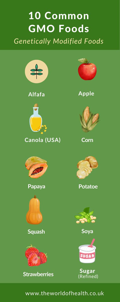 10 Common Genetically Modified Foods - What Are The Most Common GMO Foods found and hidden on our local supermarket shelves and in our processed food? theworldofhealth.co.uk/blog/what-are-… #gmofoods #geneticallymodified