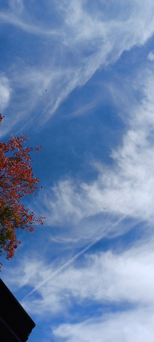 <a href="/Chemtrail101/">Chemtrailcity</a>