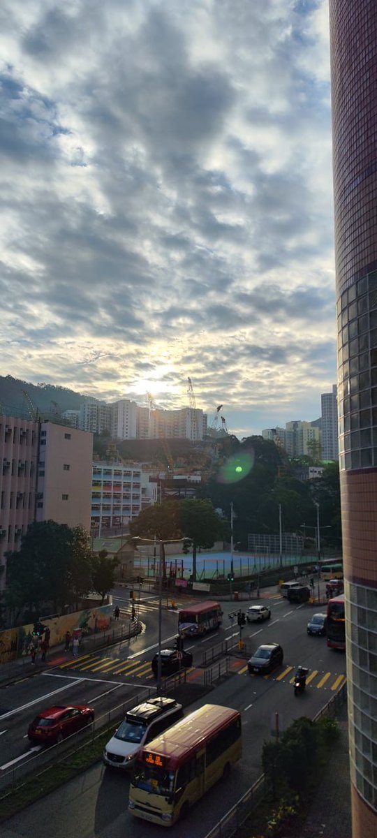 おはようございます🌸 新しい一日、新しい希望。太陽の光が心のすみずみまで照らし、たっぷりのエネルギーで今日のあらゆる挑戦を迎えましょう☀️ あなたにとって素晴らしく充実した一日になりますように✨