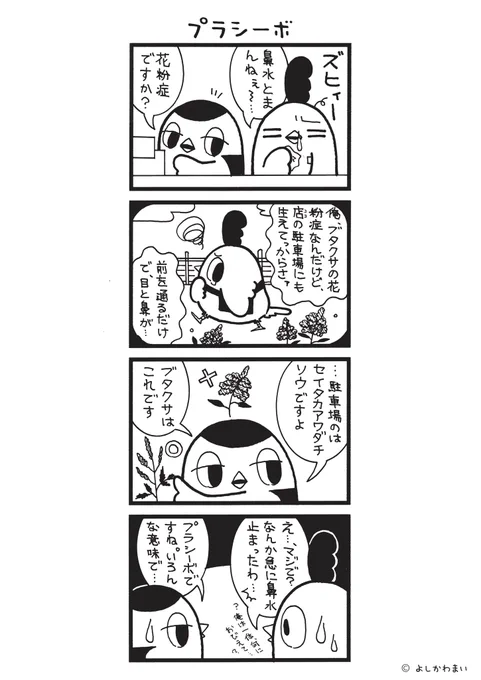 プラシーボ
#漫画が読めるハッシュタグ
#セイタカアワダチソウ 