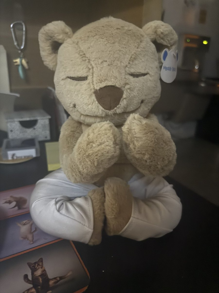 My <a href="/MeddyTeddyLA/">Meddy Teddy</a> for work.  #owlsome. #shoplocal