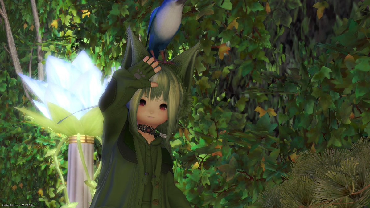 おはようございます
#おはララ