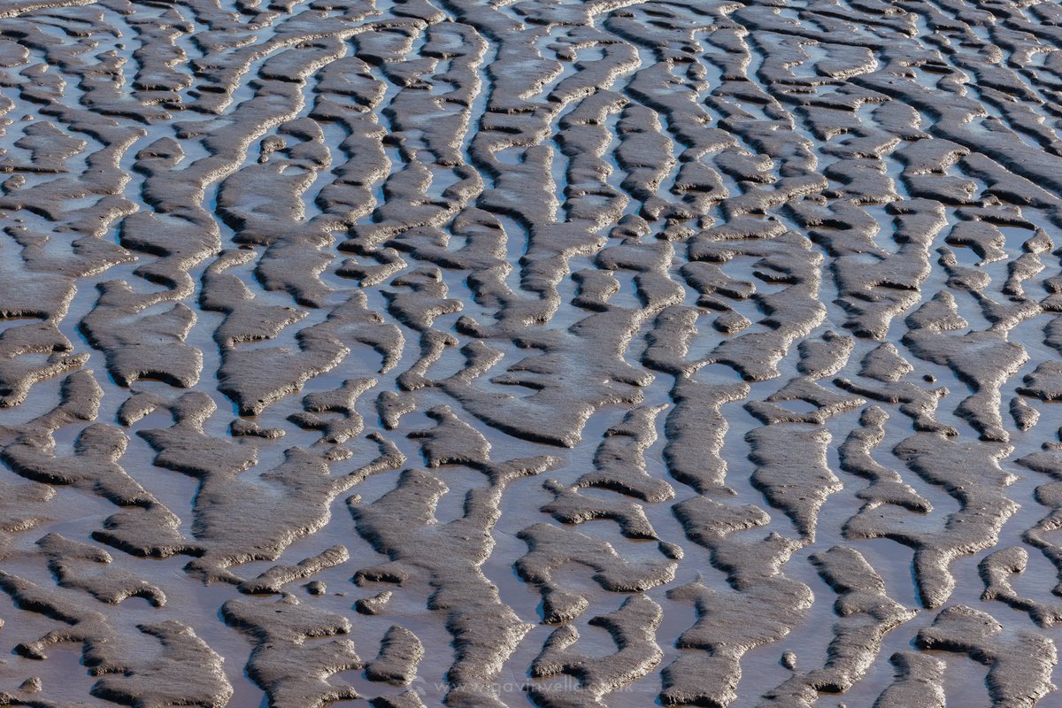 GmusicV's tweet image. I&apos;ve taken many images of the mudflats of the years, the mosaic patterns are just stunning, especially after a high tide when they&apos;re still gleaming #gwentlevels #landscape #patterns #nature #naturephotography