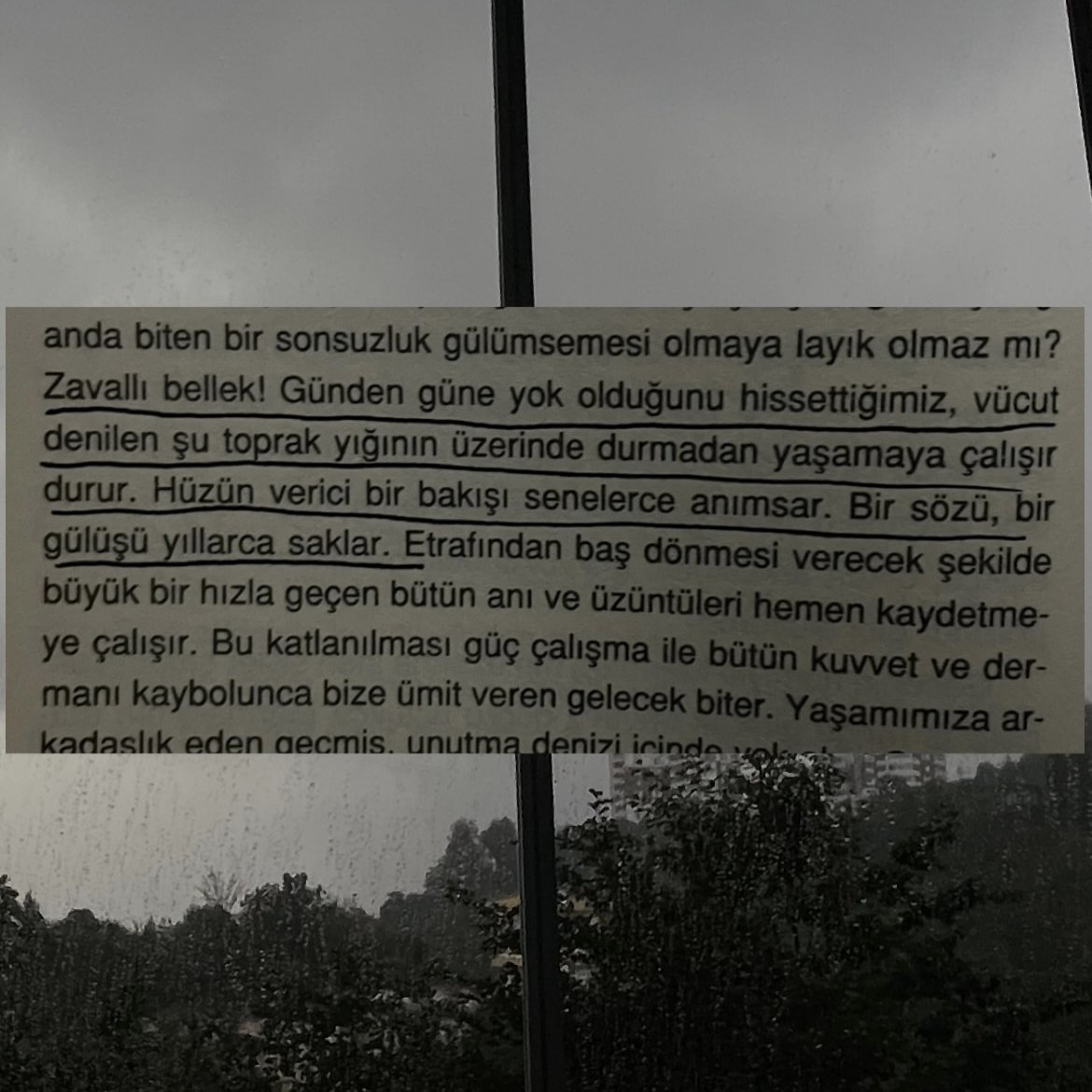 Mazlum (@mazlumdnzz) on Twitter photo 