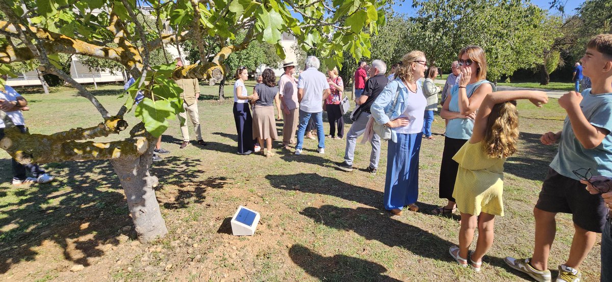 Facultat d'Economia i Empresa - UIB tweet media