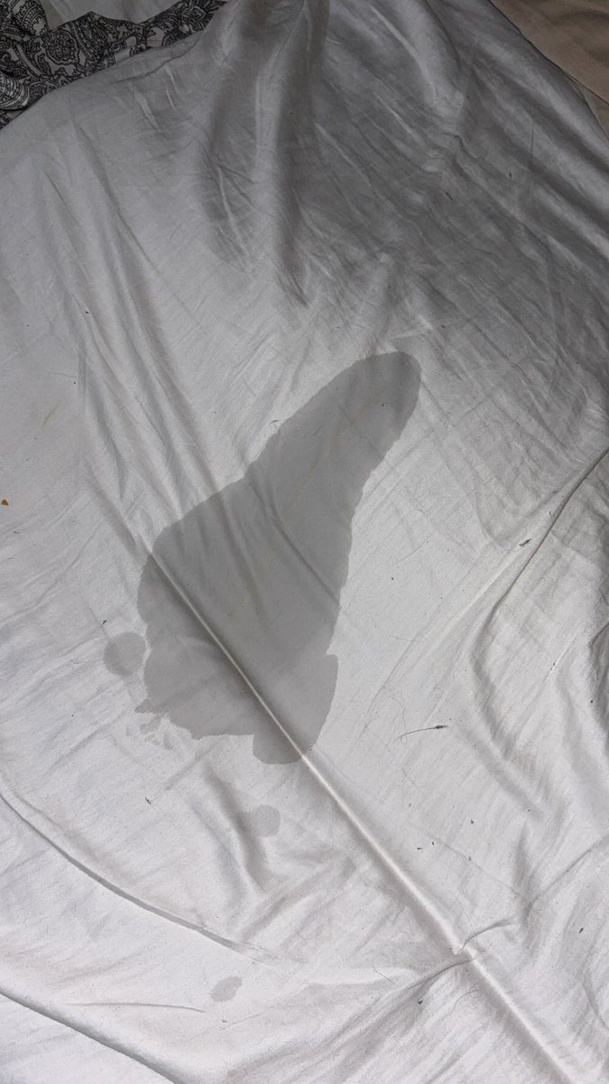 Liess033 tweet media