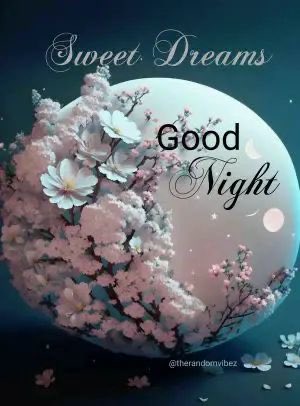 Good night! Sleep well! 💕😴😴💕