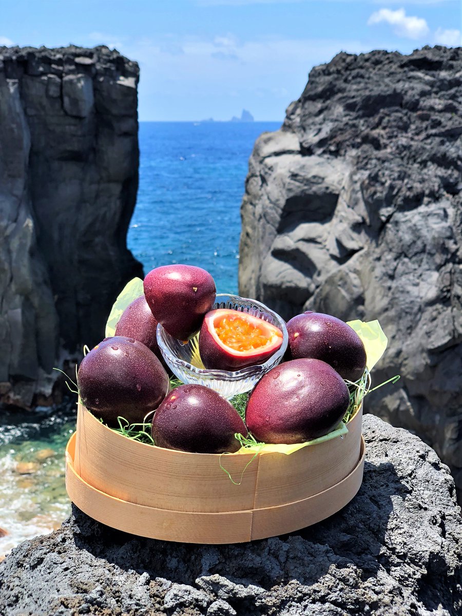 とろぴか丸」がクラフトビールに！】 #三宅島 産パッションフルーツ