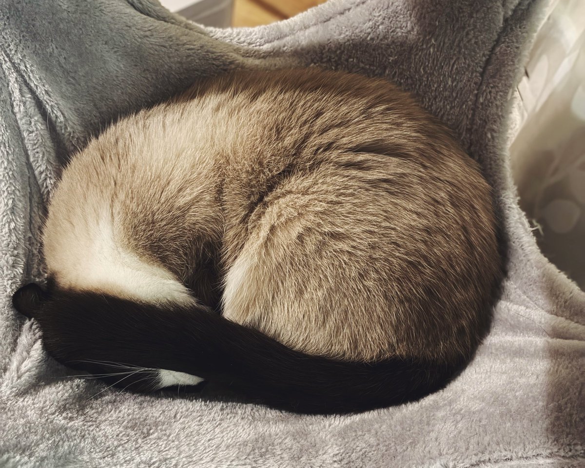 セルフ目線隠し