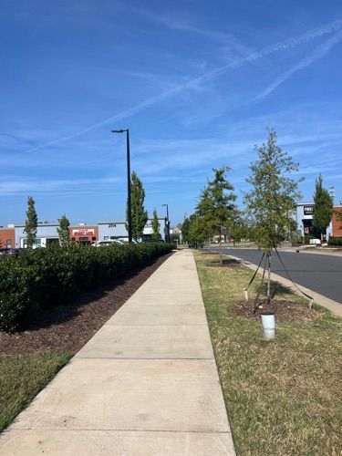 MokenaLotClean's tweet image. 📸✨ Picture-perfect properties, every time. 

#PropertySolutions #CleanLotExperts #propertymanagement #portering #powersweeping #facilitymanagement #littercleanup #exteriorservice #CurbAppeal #PropertyMaintenance #GroundsMaintenance