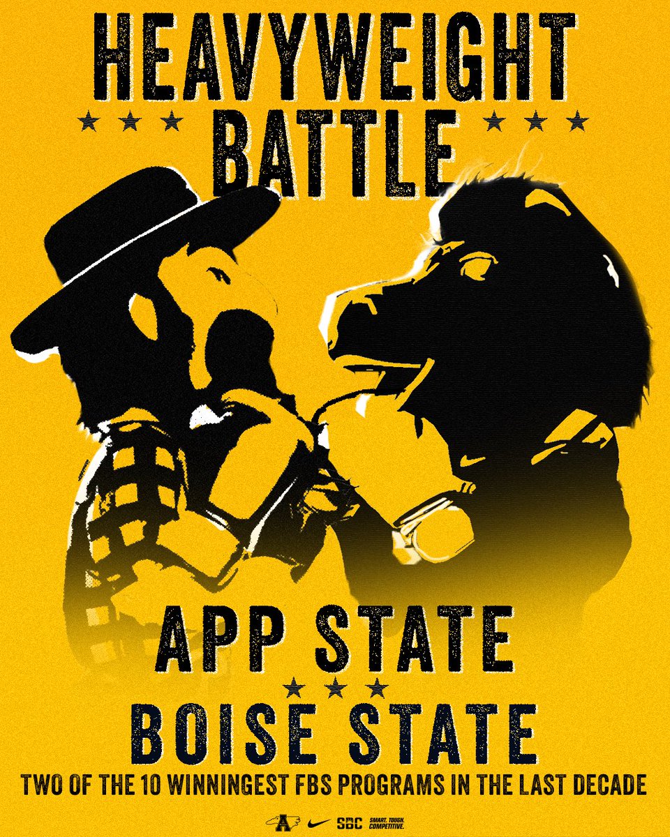 The  inspo ➡️ the design