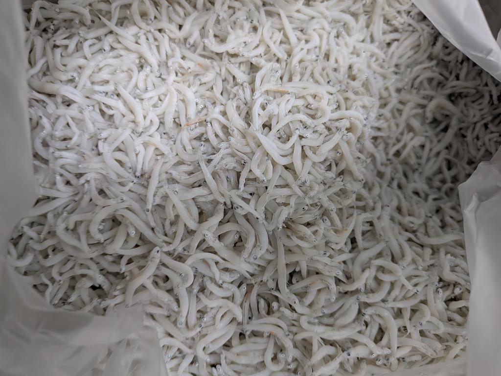 しらす SEALAS FACTORY【公式】 (@sealasfactory) · Hiroshima, Hiroshima