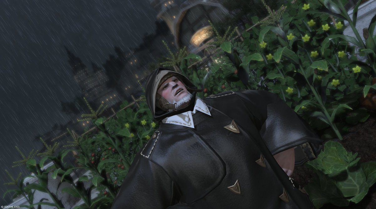 おはルガでございます。
最低気温は23℃。

夜半から降り出した予報に無い雨は朝まで降り続き、
雨音で目覚める朝を迎えています。
一昨日は雨の予報だったのに降らなかったりと、
何やら変わりやすい秋の空模様が続いてます。

畑を弄る予定だったんですが当面は無理そう。
苗でも作りますかね🤔#FF14