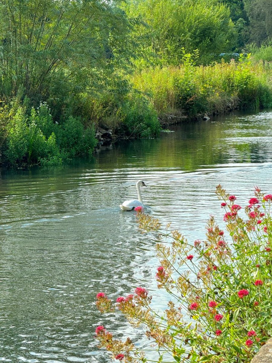 Chariya1a's tweet image. After visiting the quiet village of Bibury, the saying &quot;The Soul of Britain is in the countryside&quot; was confirmed in my mind.🥰