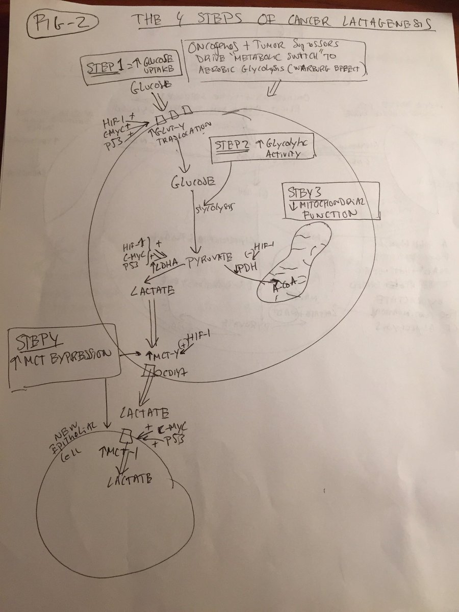 Iñigo San Millán tweet media