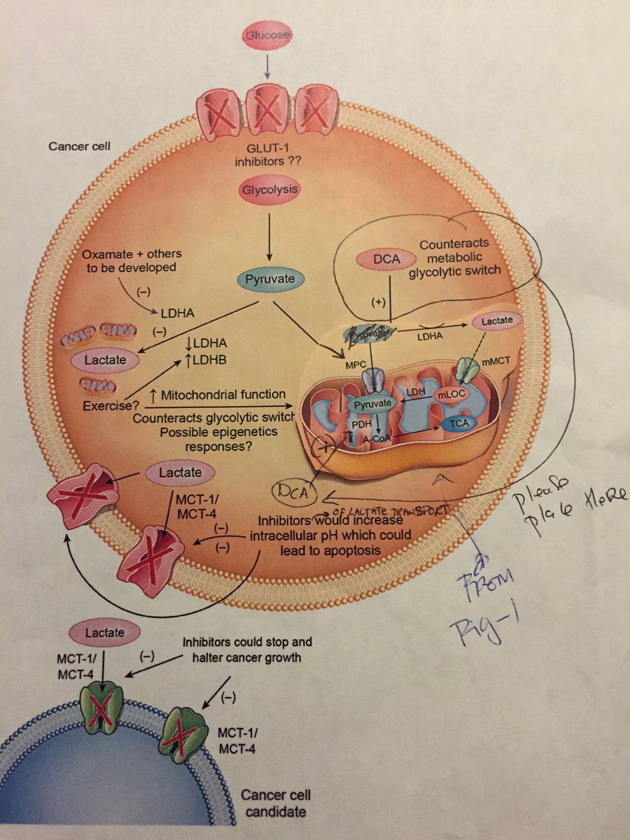 Iñigo San Millán tweet media
